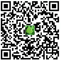 昨夜星辰 支付宝